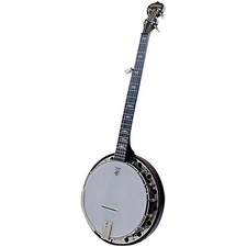 Deering Artisan Goodtime Special 5-String Res...