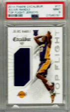 2014 Panini Excalibur Julius Randle Top Flight Jerseys PSA 9