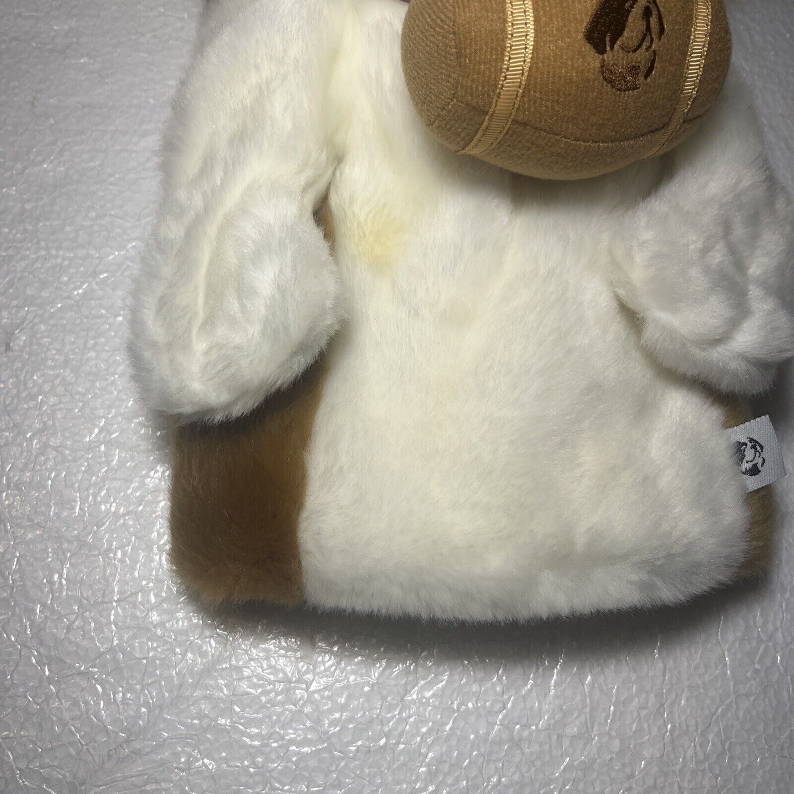 Picture 4 of 5