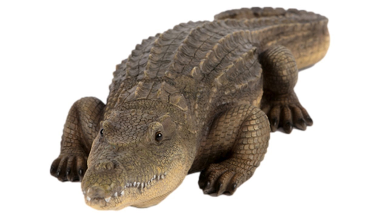 Crocodile Garden Ornament Resin Realistic Statue Home Decor Lifelike XL 62cm