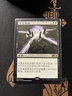 Mtg FOREIGN Leyline Of The Void - Core Set 2020 + Bonus Foils