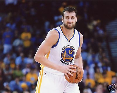 Andrew Basketball Player ANDREW BOGUT GOLDEN STATE