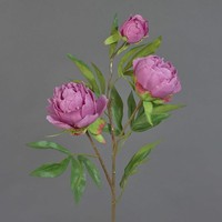 Artplants KüNstlicher Zweig Pfingstrose Manja, Altrosa-Pink, 70Cm, Ø8-10Cm