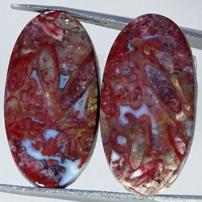 23.00Cts 100%Natural Palm Root Agate Pair Oval Cabochon Gemstone 13X25X4MM