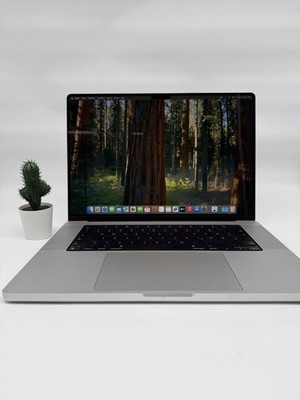 Apple MacBook Pro | 16 Zoll | M1 Max | 32GB | 1TB | Silver | QWERTZ #M19