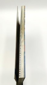 Theme Park Strategy Guidebook for PS1 & Saturn  Used No Damage