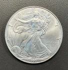 1999 American Eagle Silver Dollar / 1 oz .999 Silver / Uncirculated
