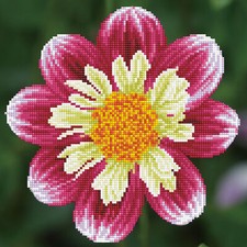 Diamond Dotz Diamond Painting Kit: Daisy a Day