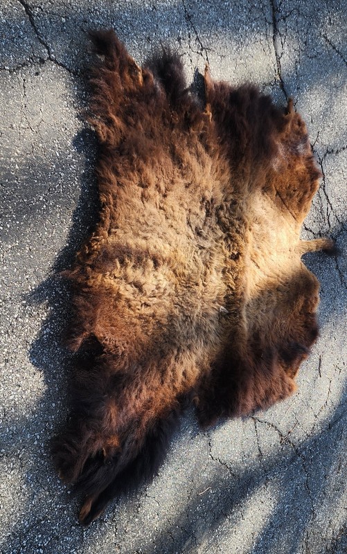 VINTAGE REAL BUFFALO HIDE