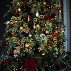 Bild 7 von 12
