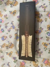 Christophe Robin Pre-curved Natural Boar Bristle Blow Dry Hairbrush 10 Rows