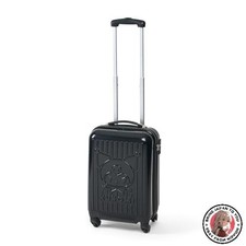 NEW Sanrio Carry-on Bag 29L Kuromi PC ABS Resin Polyester TSA Lock Compatible