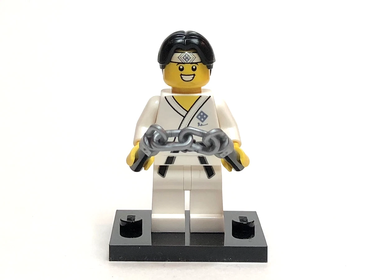 Lego karate 2025