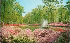 POSTCARD-BRYAN PARK AZALEA GARDENS RICHMOND, VIRGINIA