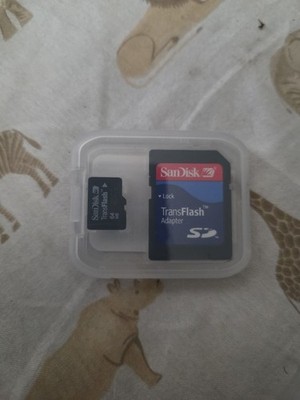 SanDisk 256MB microSD Card with SD Adapter