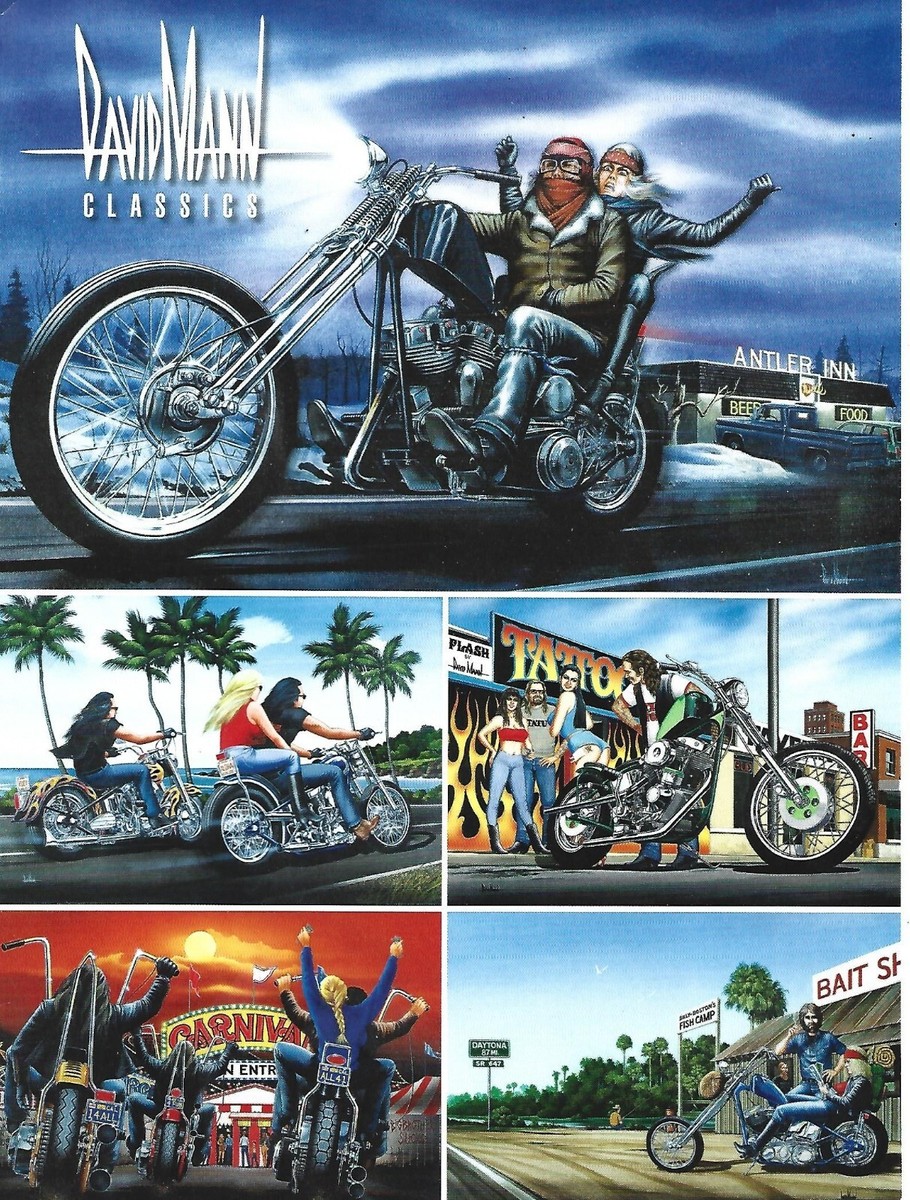 12 BIKER EASYRIDERS MAGAZINE SUPPLEMENTS DAVID MANN SWIMSUIT