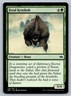 Feral Krushok Magic The Gathering Fate Reforged 2015 MTG Card FREE SHIPPING !