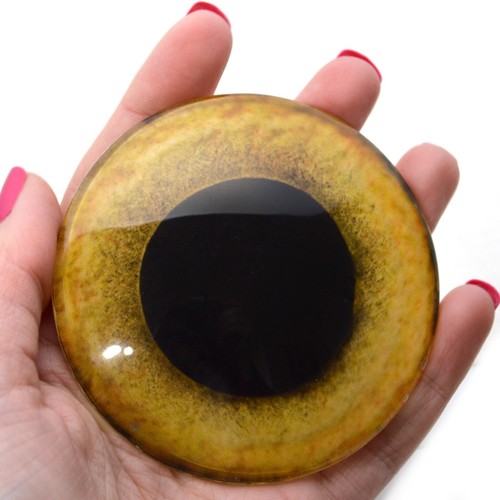 78mm Yellow Owl Glass Bird Eyes Large Faux Taxidermy Art Craft Supplies - Picture 3 of 5