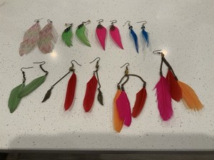 Set Of Feather Ladies Earrings 