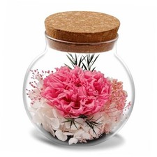 Christmas Birthday Gifts for Women - Handmade Preserved Flowers Wish Pink