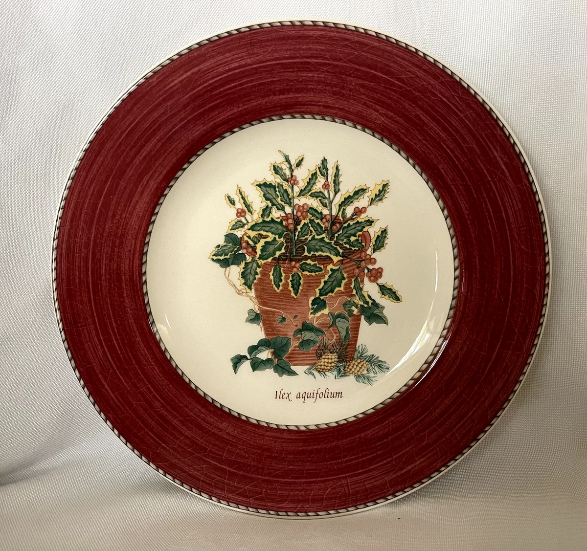 Sarah S Garden for sale | eBay