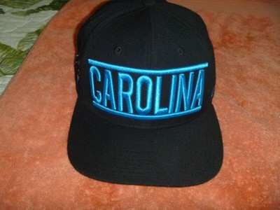 panthers baseball cap