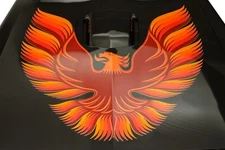 1980 Pontiac Firebird Trans Am (SCREAMING CHICKEN) POSTER 24 X 36 INCH SWEET!