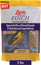 Finch - Small Songbird Wild Bird Seed - Attracts Goldfinches, House Finches, Pur