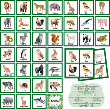 82 Pcs Memory Matching Games Animals Matching Cards Wild Animals Memory Game Jun