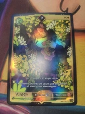 VCARD Rising Stars - First Edition (1st)  9  Holo Foil  TOB