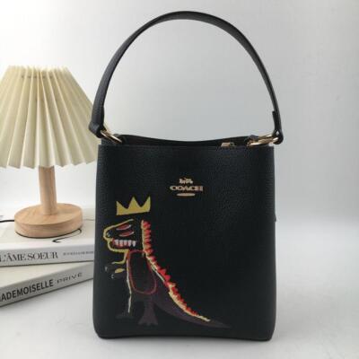 COACH Bag C6073 Basquiat Collaboration 2WAY Dinosaur Print
