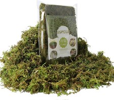 Fake Green Moss for Potted Plants, 4OZ Artificial Moss for DIY Crafts, Faux Moss