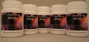 Pueraria Mirifica Pure