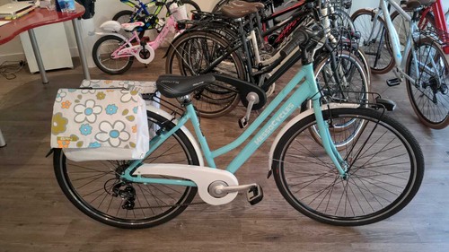New Hybrid Italian Classic Dutch Style 