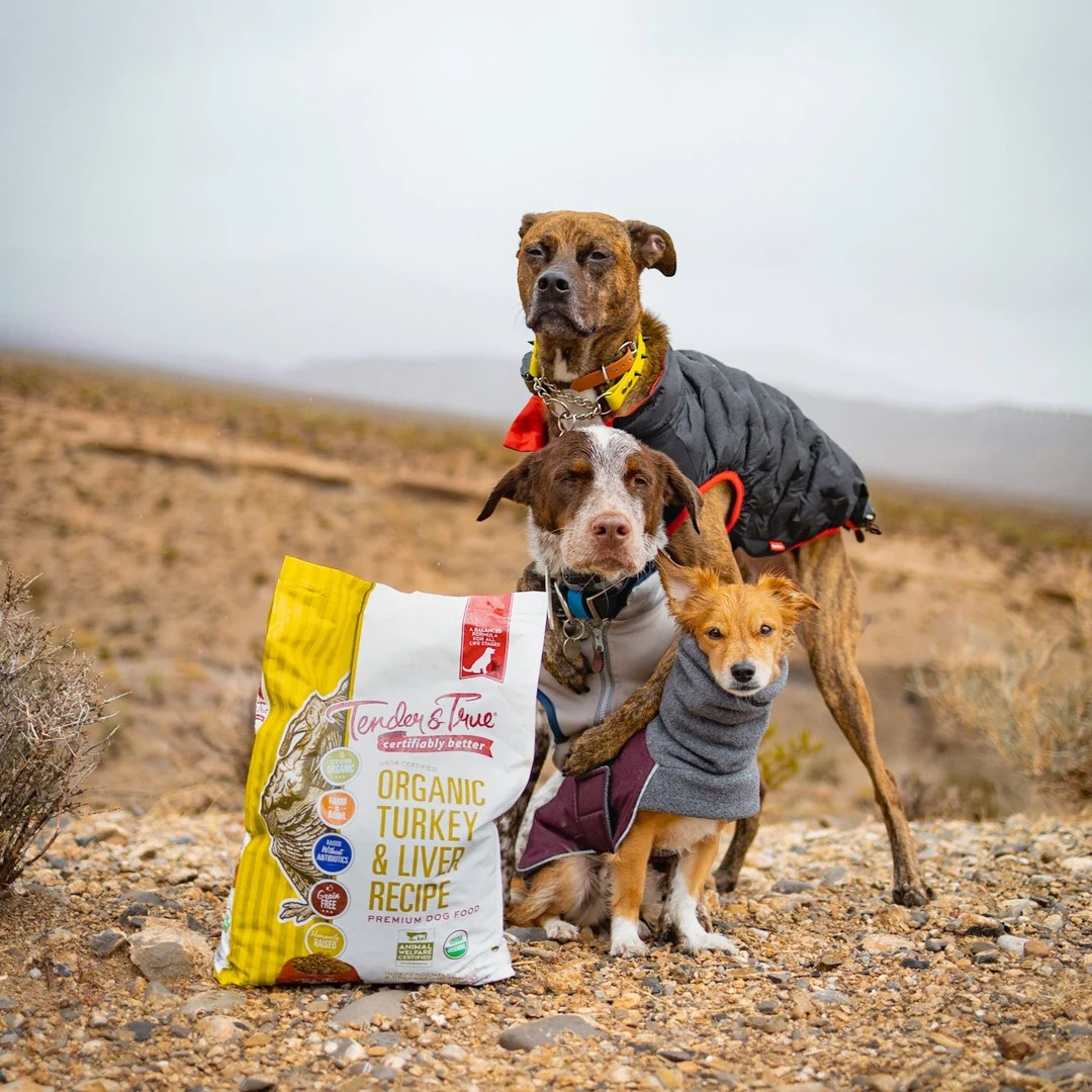 Tender & True Organic Dog Food,Turkey And Liver 1 Bag-4 LB Premium