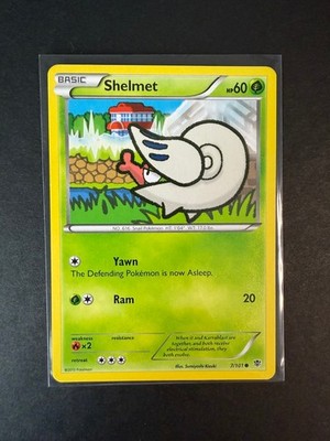 Shelmet Common Plasma Blast 7/101 MP