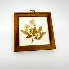 1960s Pressed Flower Art 5"x5" Vintage Wood Frame Brass Hanger Botanical
