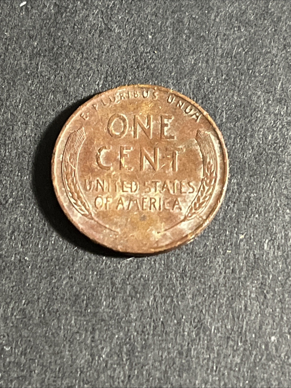 Picture 5 of 7