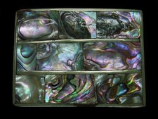TA03156 VINTAGE 1970s  ABALONE SHELL  SOUTHWESTERN DESIGN ART BELT BUCKLE