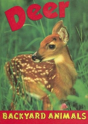 Deer (Backyard Animals), Webster, Christine