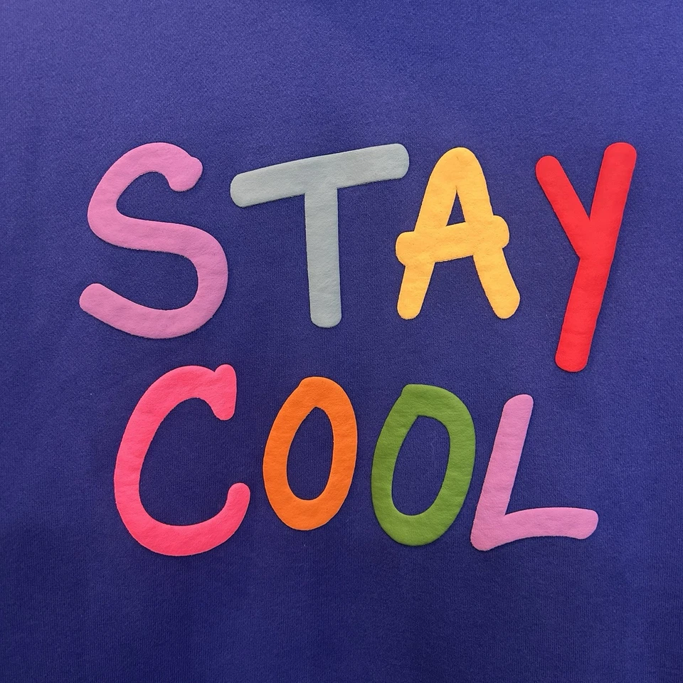 Sudadera con Capucha Revolve Stay Cool Pintura Puff En Real Unisex Talla L De Gran Tamaño Agotada Foto 2 de 4