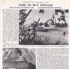 TIME TO BUY VINTAGE: WINES TO BUY AND DRINK IN 1982. SEVERAL PICTURES AND ACCOMP