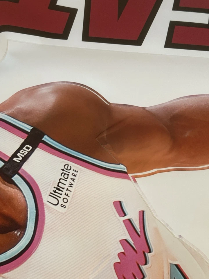 盒装 Dwyane Wade 可重复使用真人尺寸 Fathead 贴花巨型海报 MIA Heat Vice  — 第 2/2 张图片
