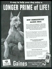 1952 Great Dane photo Gaines dog meal food vintage print ad