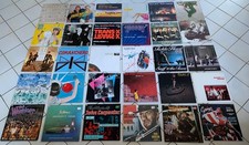 Schallplatten Sammlung - 30 Stück - 12“ - LP‘s und Maxi-Singles - Titel s. Fotos