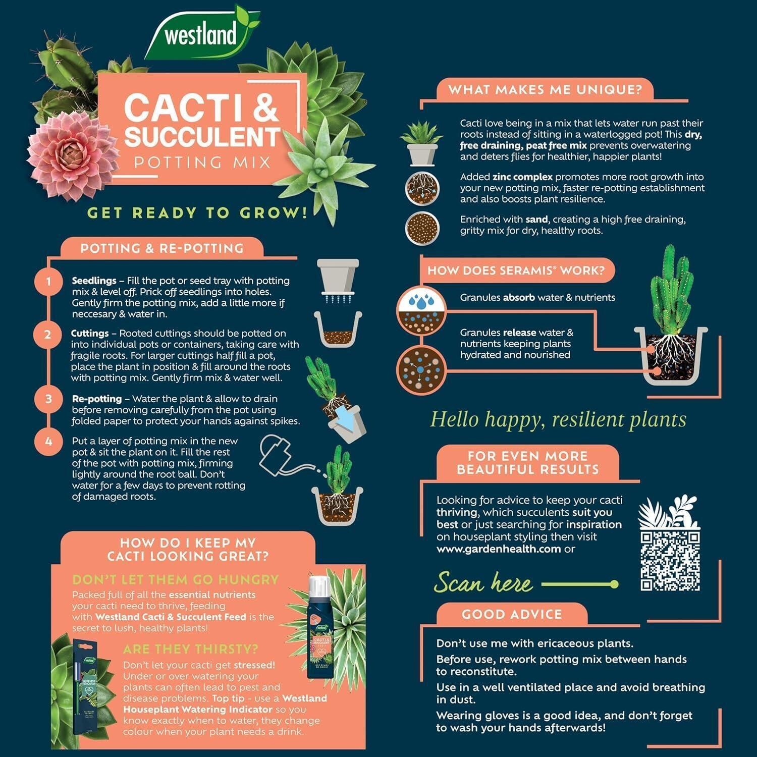 3 x WESTLAND CACTI SUCCULENT CACTUS POTTING COMPOST MIX 4L ENRICHED WITH  SERAMIS - Shopping.com