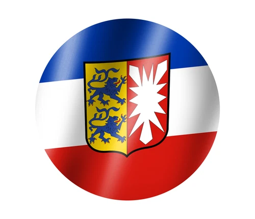 XXL Fahne Schleswig Holstein 250 x 150 cm Bundesland Hiss Flagge mit Wappen Neu