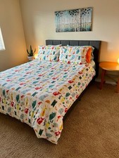 IKEA Queen Duvet and 2 Pillow Shams