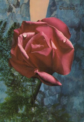 FLOWERS Vintage Ansichtskarte Postkarte CPSM #PAS323.D