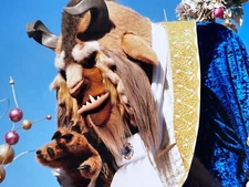 i4 Photograph 5X7 Close Up Disneyland The Beast Character Close Up Parade